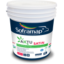 Aktu satin